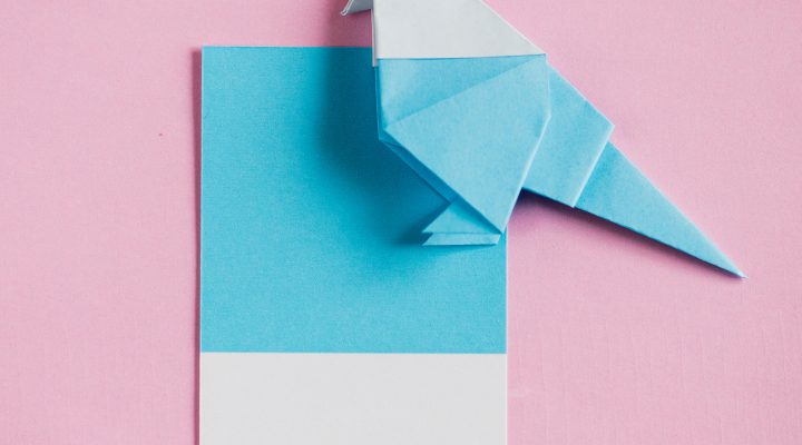 Beyond Traditional STEM Career Paths