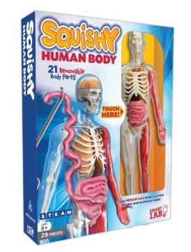 Squishy body